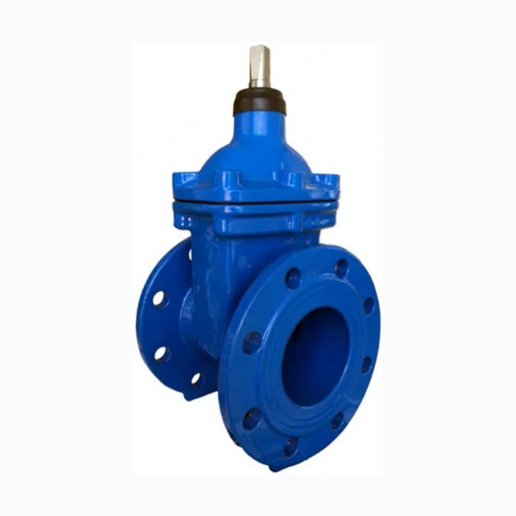Aeon International Задвижка с обрезиненным клином EcoValve DN65 PN10/16 (38-111UG65)