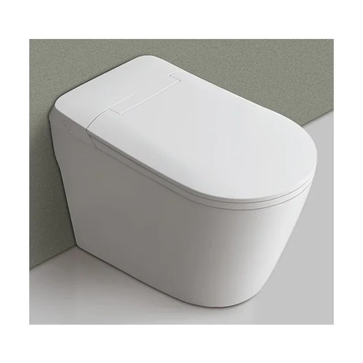 Põrandapealne WC-pott Nordline Smart Tankless integreeritud loputusega + Soft-Close prill-laud