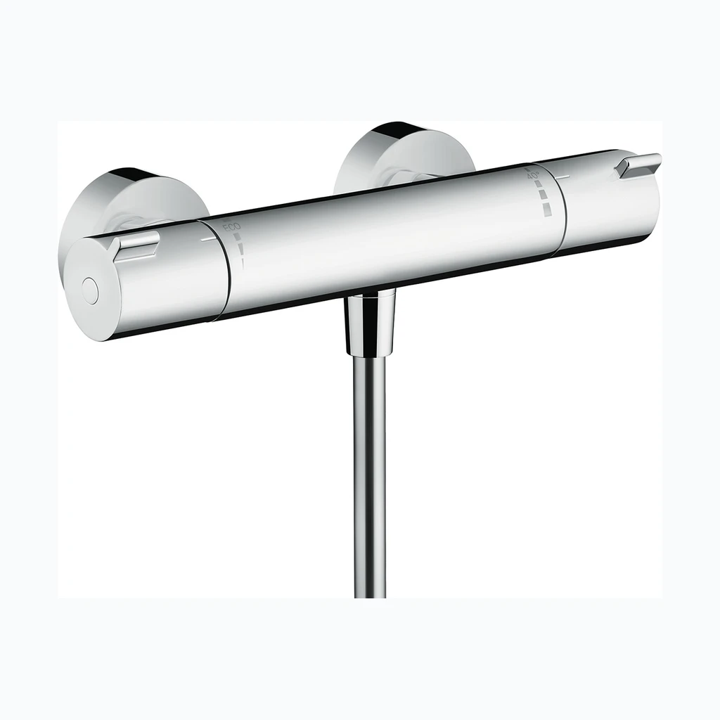 Hansgrohe Termostaadiga dušisegisti Ecostat 1001 CL (HG13211000)